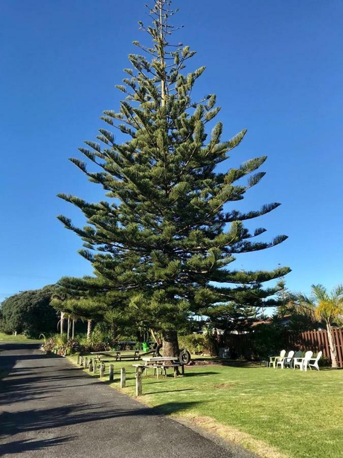 Beaches Motel Waihi Exteriör bild